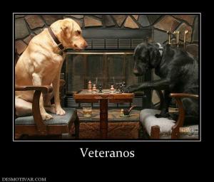 Veteranos