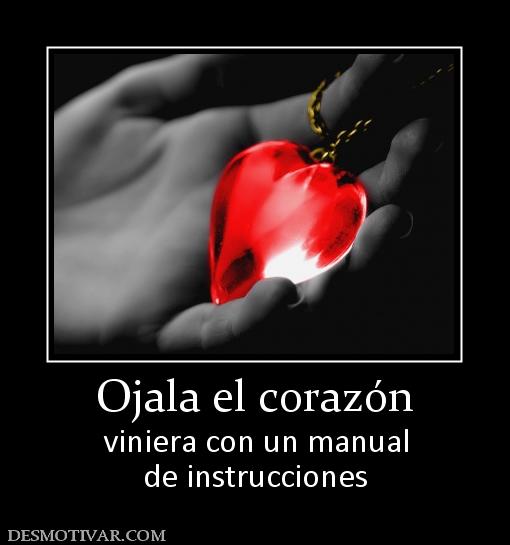 Ojala el corazón viniera con un manual de instrucciones