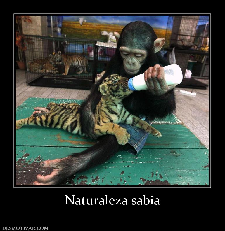 Naturaleza sabia