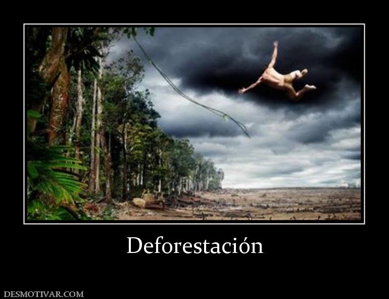 Deforestación