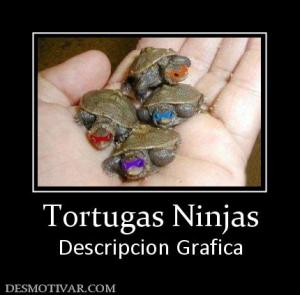 Tortugas Ninjas Descripcion Grafica