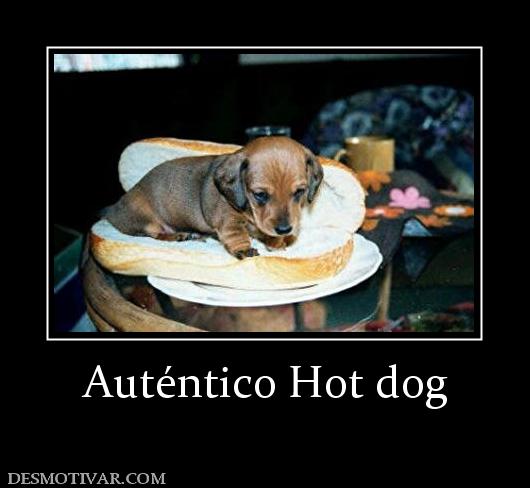 Auténtico Hot dog