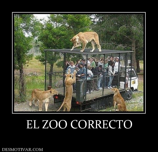 EL ZOO CORRECTO