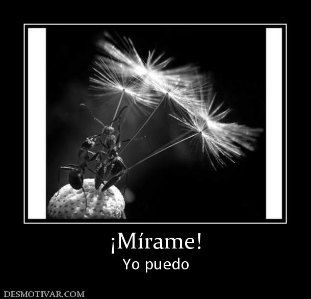 ¡Mírame! Yo puedo