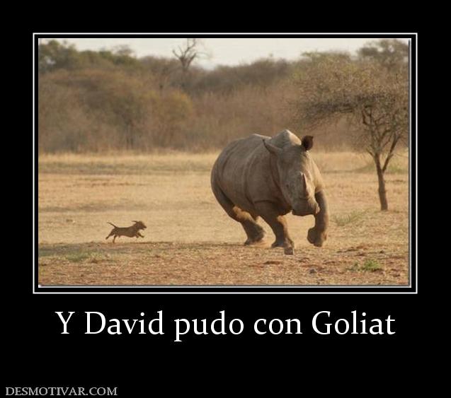 Y David pudo con Goliat