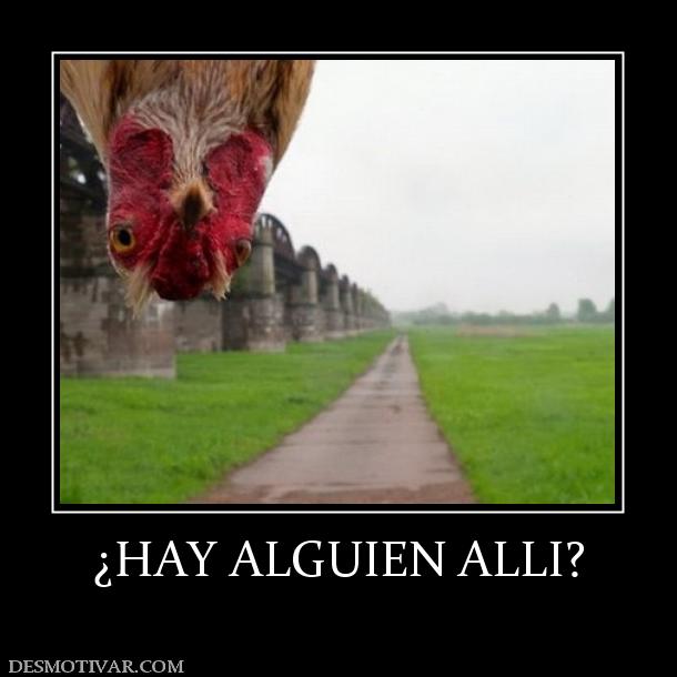 reconocelo ... 1362_hay_alguien_alli.jpg