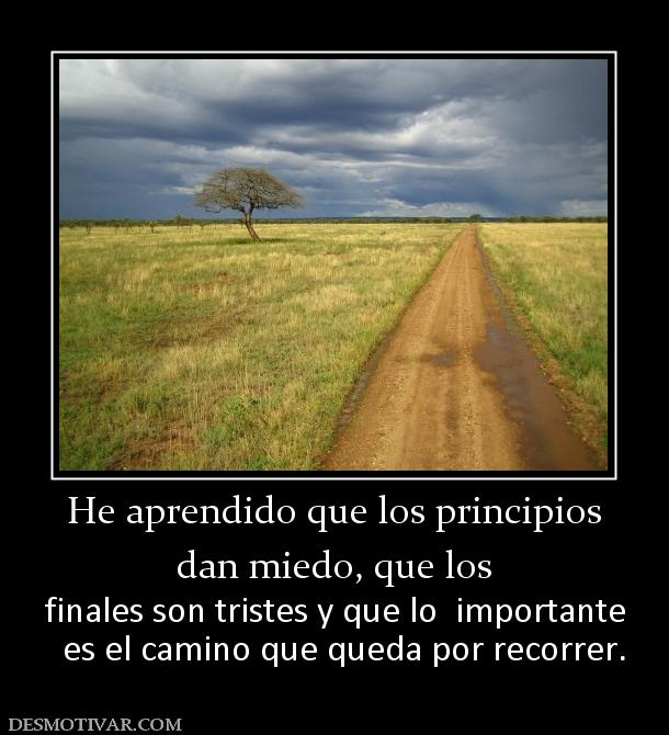 He aprendido que los principios dan miedo, que los finales son tristes y que lo  importante   es el camino que queda por recorrer.