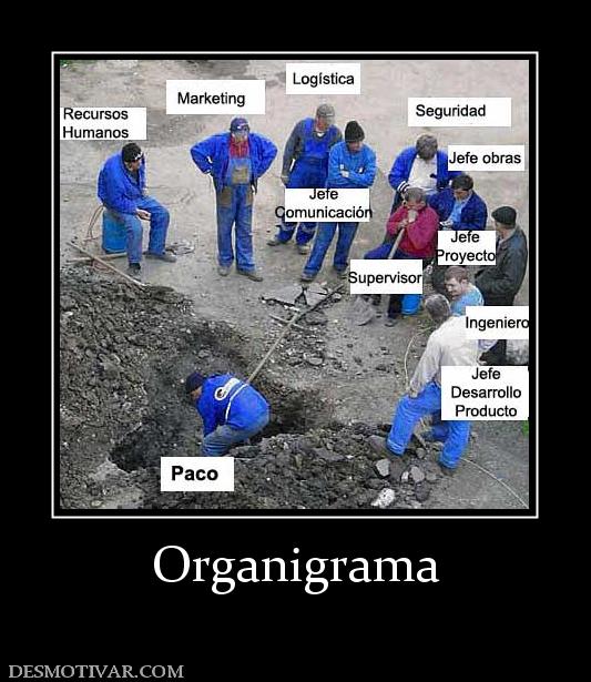 Organigrama