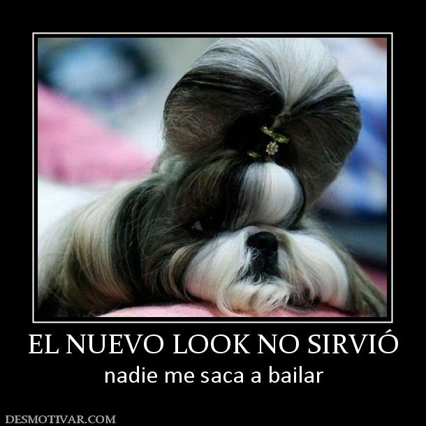 EL NUEVO LOOK NO SIRVIÓ nadie me saca a bailar