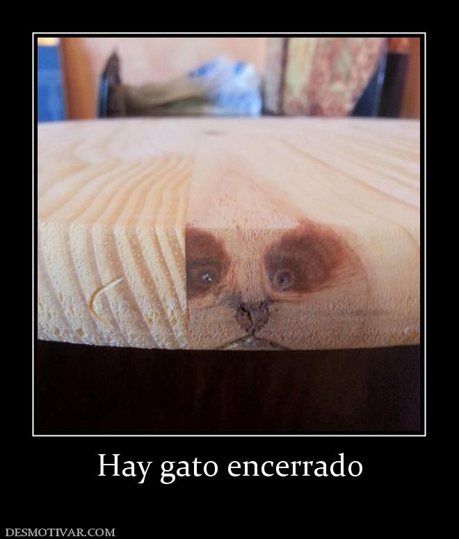 Hay gato encerrado