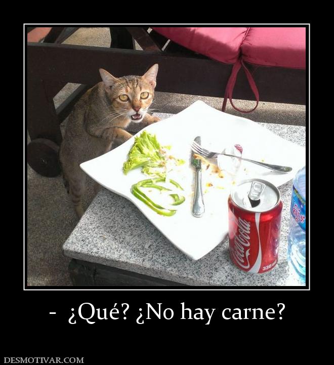 -  ¿Qué? ¿No hay carne?