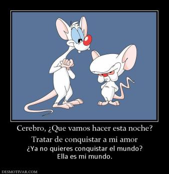 Cerebro, ¿Que vamos hacer esta noche? Tratar de conquistar a mi amor ¿Ya no quieres conquistar el mundo? Ella es mi mundo.