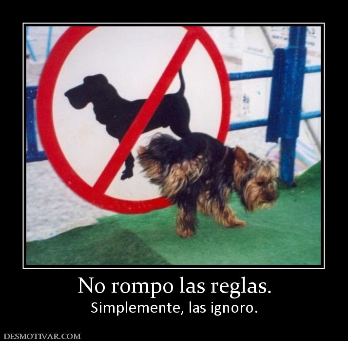 No rompo las reglas. Simplemente, las ignoro.