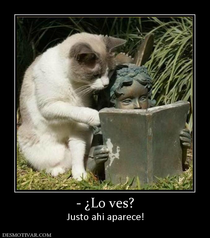 - ¿Lo ves? Justo ahi aparece!