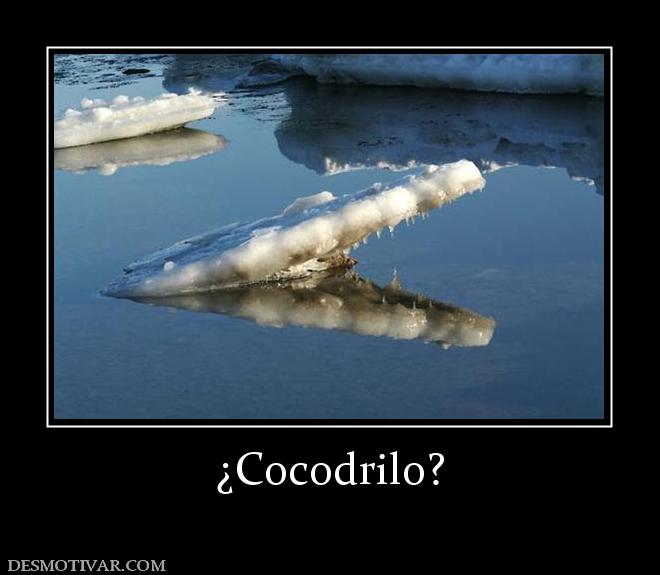 ¿Cocodrilo?