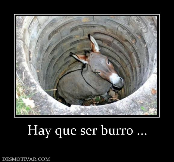 Hay que ser burro ...