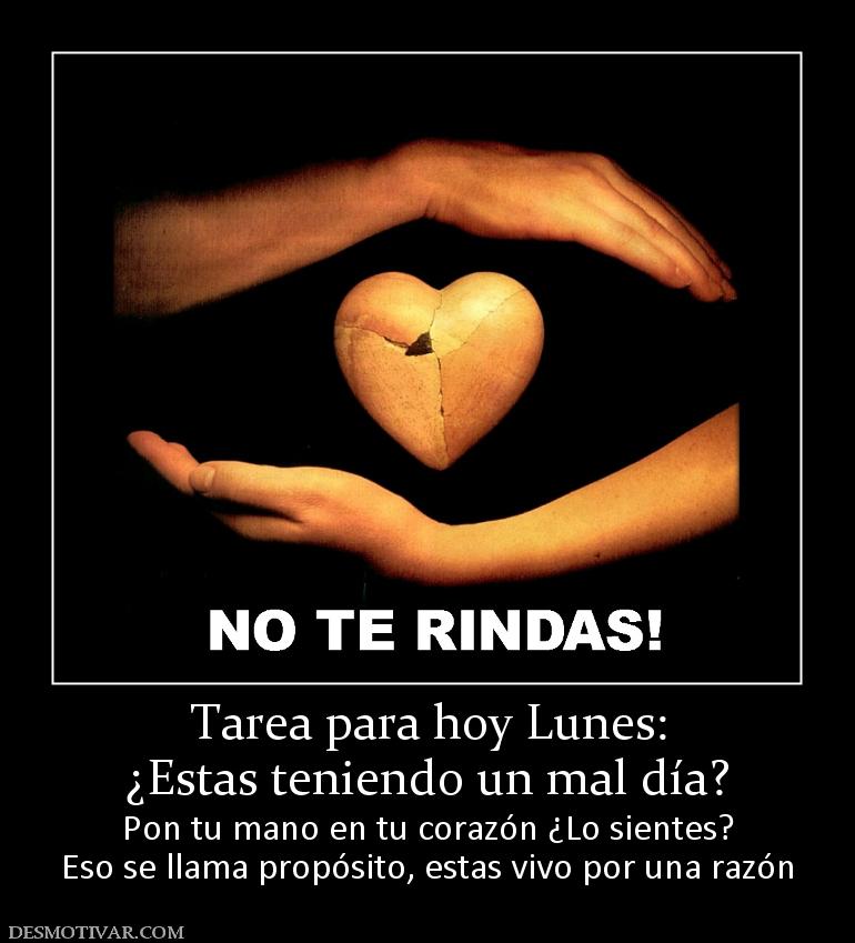 Tarea para hoy Lunes: ¿Estas teniendo un mal día? Pon tu mano en tu corazón ¿Lo sientes? Eso se llama propósito, estas vivo por una razón