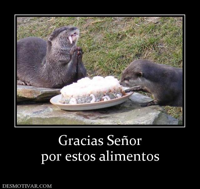 Gracias Señor por estos alimentos