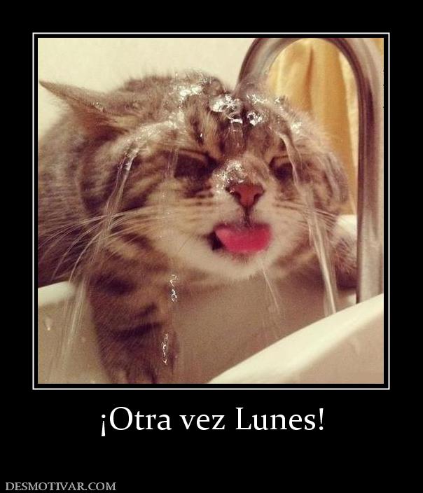 ¡Otra vez Lunes!