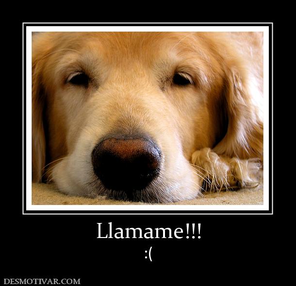 Llamame!!! :(