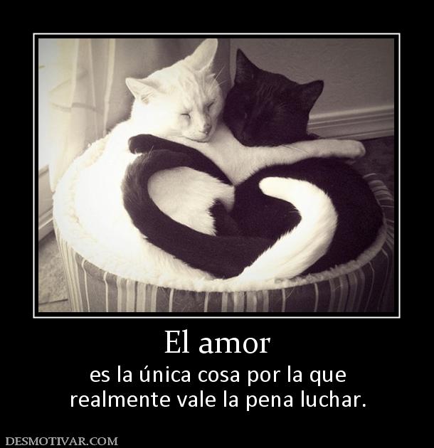 El amor es la única cosa por la que realmente vale la pena luchar.