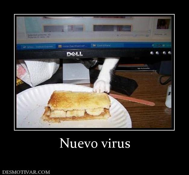 Nuevo virus