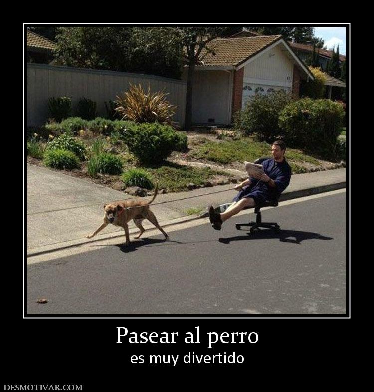 Pasear al perro es muy divertido