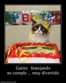 Gatito   festejando su cumple ... muy divertido