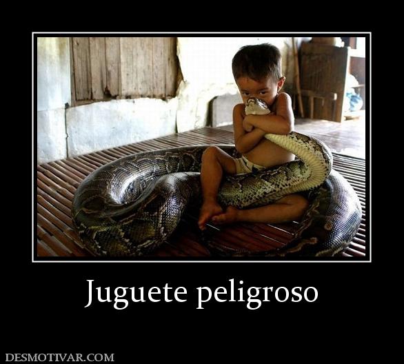 Juguete peligroso