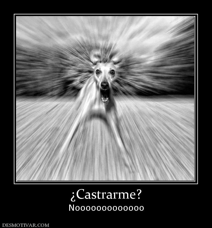 ¿Castrarme? Nooooooooooooo