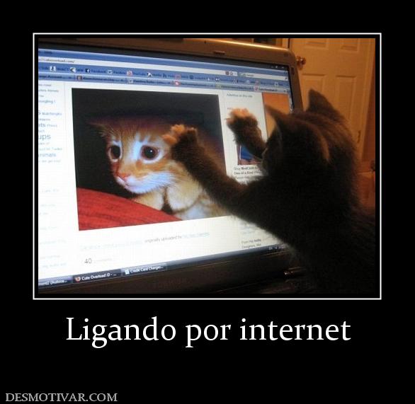 Ligando por internet