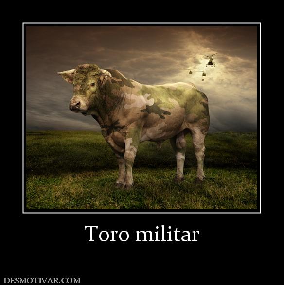 Toro militar