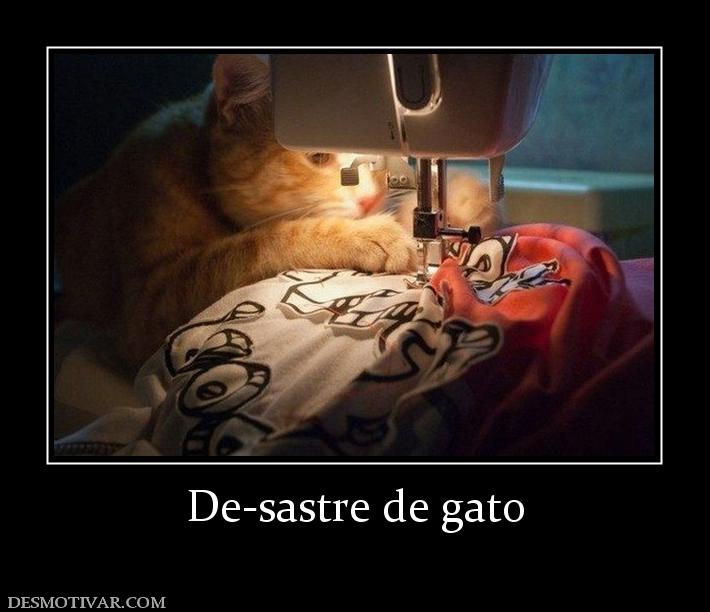 De-sastre de gato