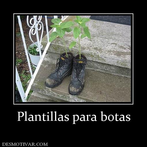 Plantillas para botas