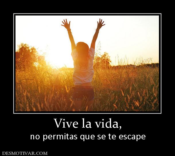 Vive la vida, no permitas que se te escape