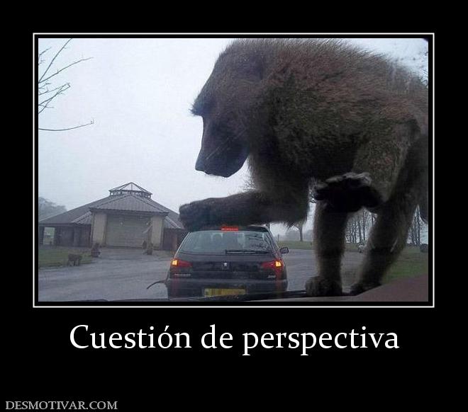 Cuestión de perspectiva