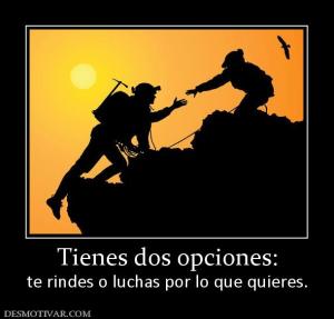 Tienes dos opciones: te rindes o luchas por lo que quieres.