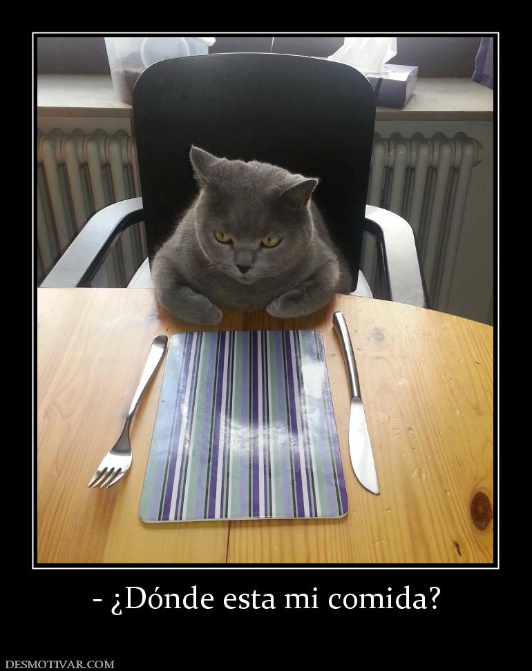 - ¿Dónde esta mi comida?