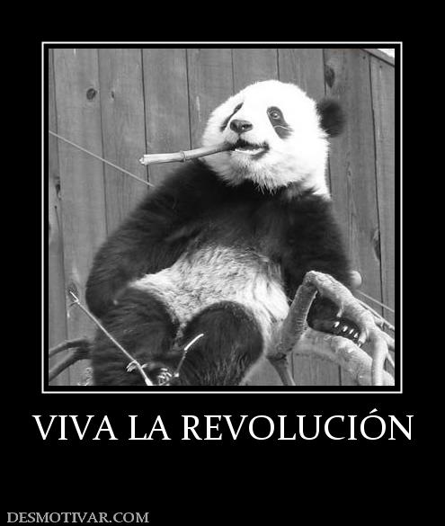 152_viva_la_revolucion.jpg