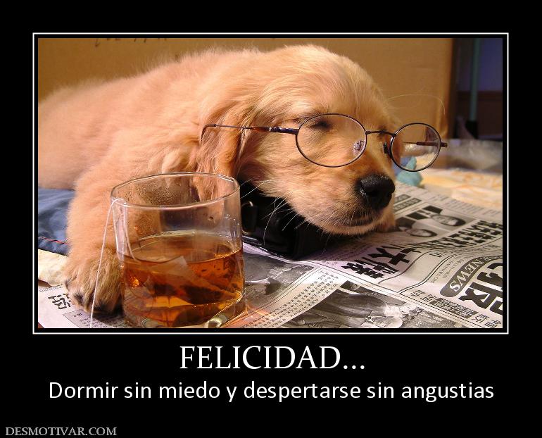 FELICIDAD... Dormir sin miedo y despertarse sin angustias