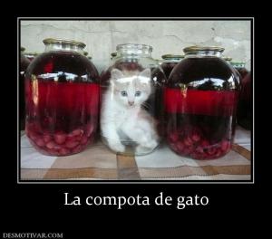 La compota de gato