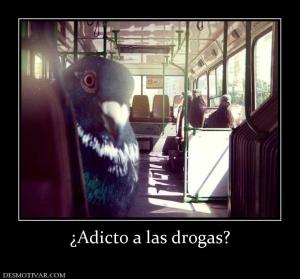 ¿Adicto a las drogas?