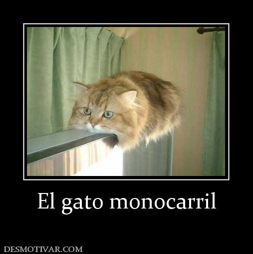 El gato monocarril