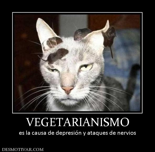 VEGETARIANISMO es la causa de depresión y ataques de nervios