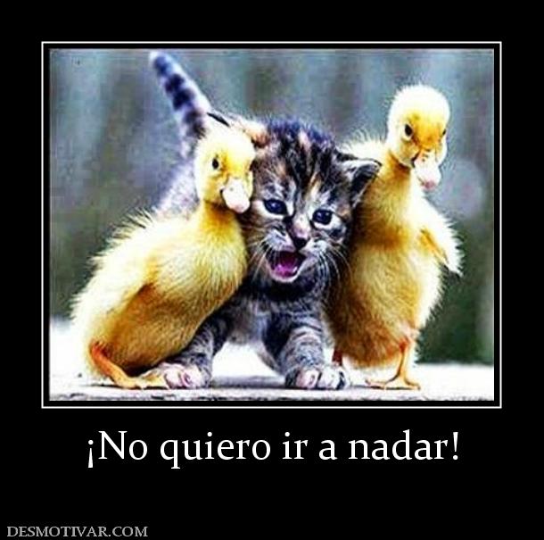 ¡No quiero ir a nadar!