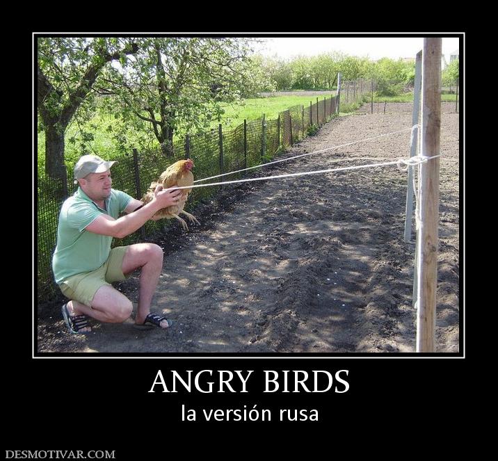 ANGRY BIRDS la versión rusa