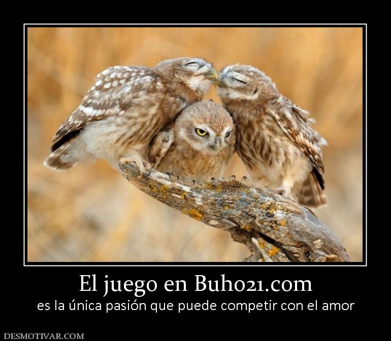 El juego en buho21.org es la única pasión que puede competir con el amor