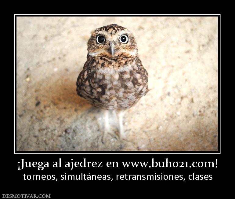 ¡Juega al ajedrez en www.buho21.org! torneos, simultáneas, retransmisiones, clases