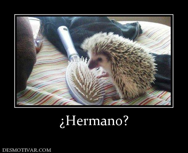 ¿Hermano?