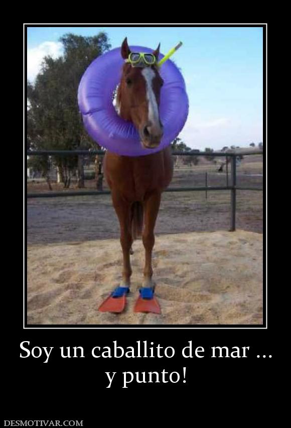 Soy un caballito de mar ... y punto!